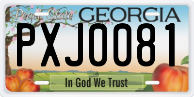 GA license plate PXJ0081