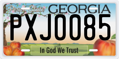 GA license plate PXJ0085