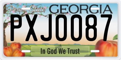 GA license plate PXJ0087