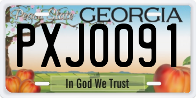 GA license plate PXJ0091