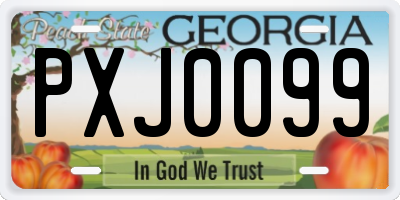 GA license plate PXJ0099