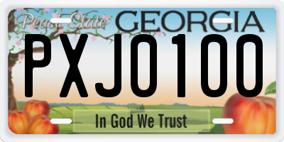 GA license plate PXJ0100