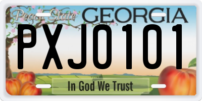 GA license plate PXJ0101