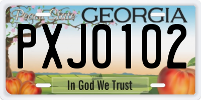 GA license plate PXJ0102
