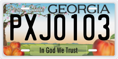 GA license plate PXJ0103