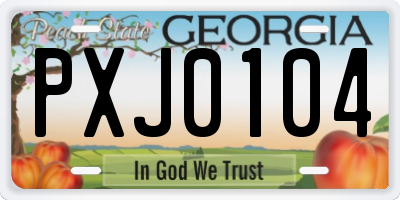 GA license plate PXJ0104