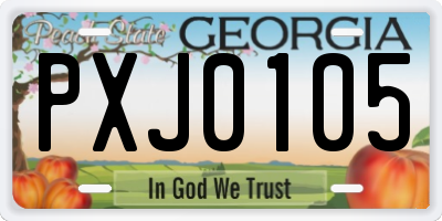 GA license plate PXJ0105