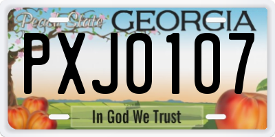 GA license plate PXJ0107