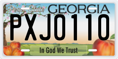 GA license plate PXJ0110