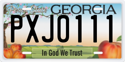 GA license plate PXJ0111