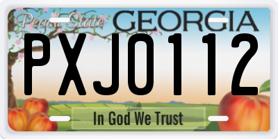 GA license plate PXJ0112