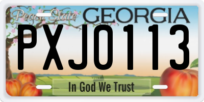 GA license plate PXJ0113