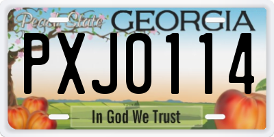 GA license plate PXJ0114