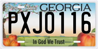 GA license plate PXJ0116
