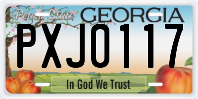GA license plate PXJ0117