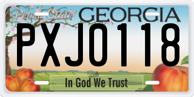 GA license plate PXJ0118