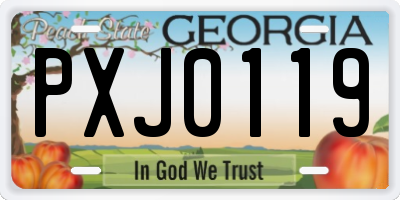 GA license plate PXJ0119