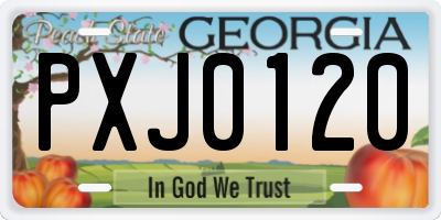 GA license plate PXJ0120