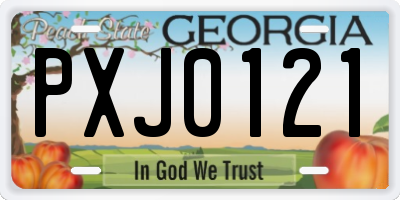 GA license plate PXJ0121