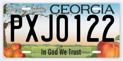 GA license plate PXJ0122