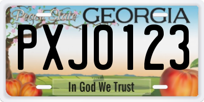 GA license plate PXJ0123