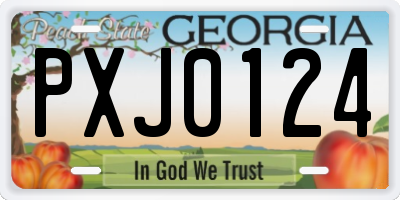 GA license plate PXJ0124