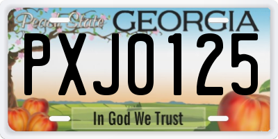 GA license plate PXJ0125