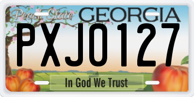 GA license plate PXJ0127