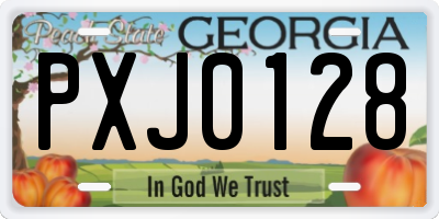 GA license plate PXJ0128