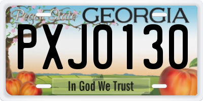 GA license plate PXJ0130
