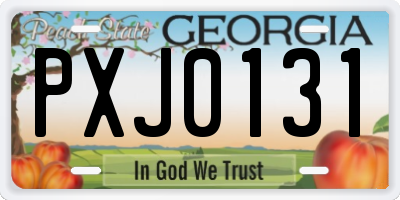 GA license plate PXJ0131