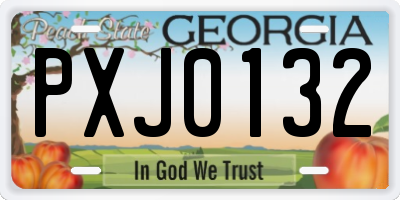 GA license plate PXJ0132