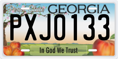 GA license plate PXJ0133