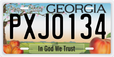 GA license plate PXJ0134