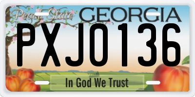 GA license plate PXJ0136