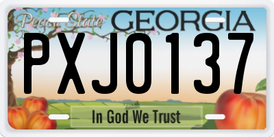 GA license plate PXJ0137