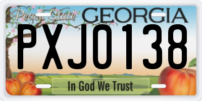 GA license plate PXJ0138