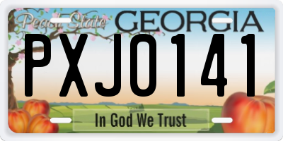 GA license plate PXJ0141