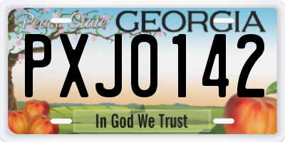 GA license plate PXJ0142