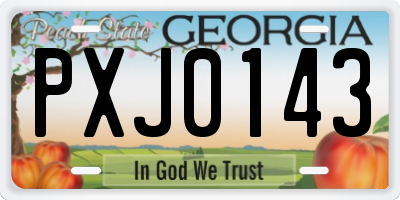 GA license plate PXJ0143