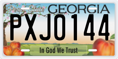 GA license plate PXJ0144