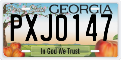 GA license plate PXJ0147
