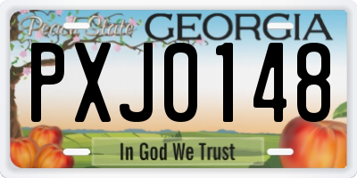 GA license plate PXJ0148