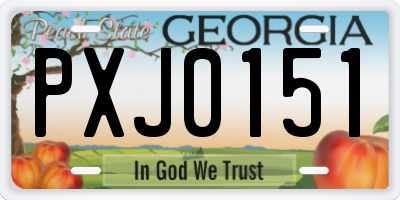GA license plate PXJ0151