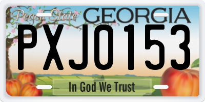 GA license plate PXJ0153