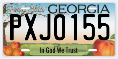 GA license plate PXJ0155