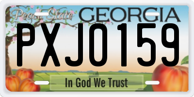 GA license plate PXJ0159