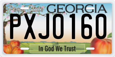 GA license plate PXJ0160