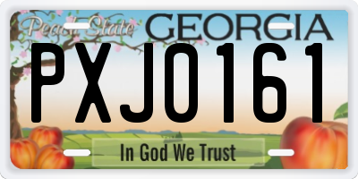 GA license plate PXJ0161