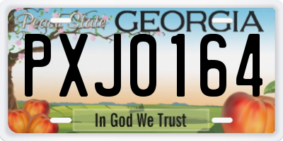 GA license plate PXJ0164